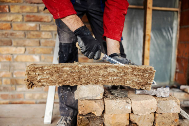 Best Insulation Replacement Services  in St Jaco, IL